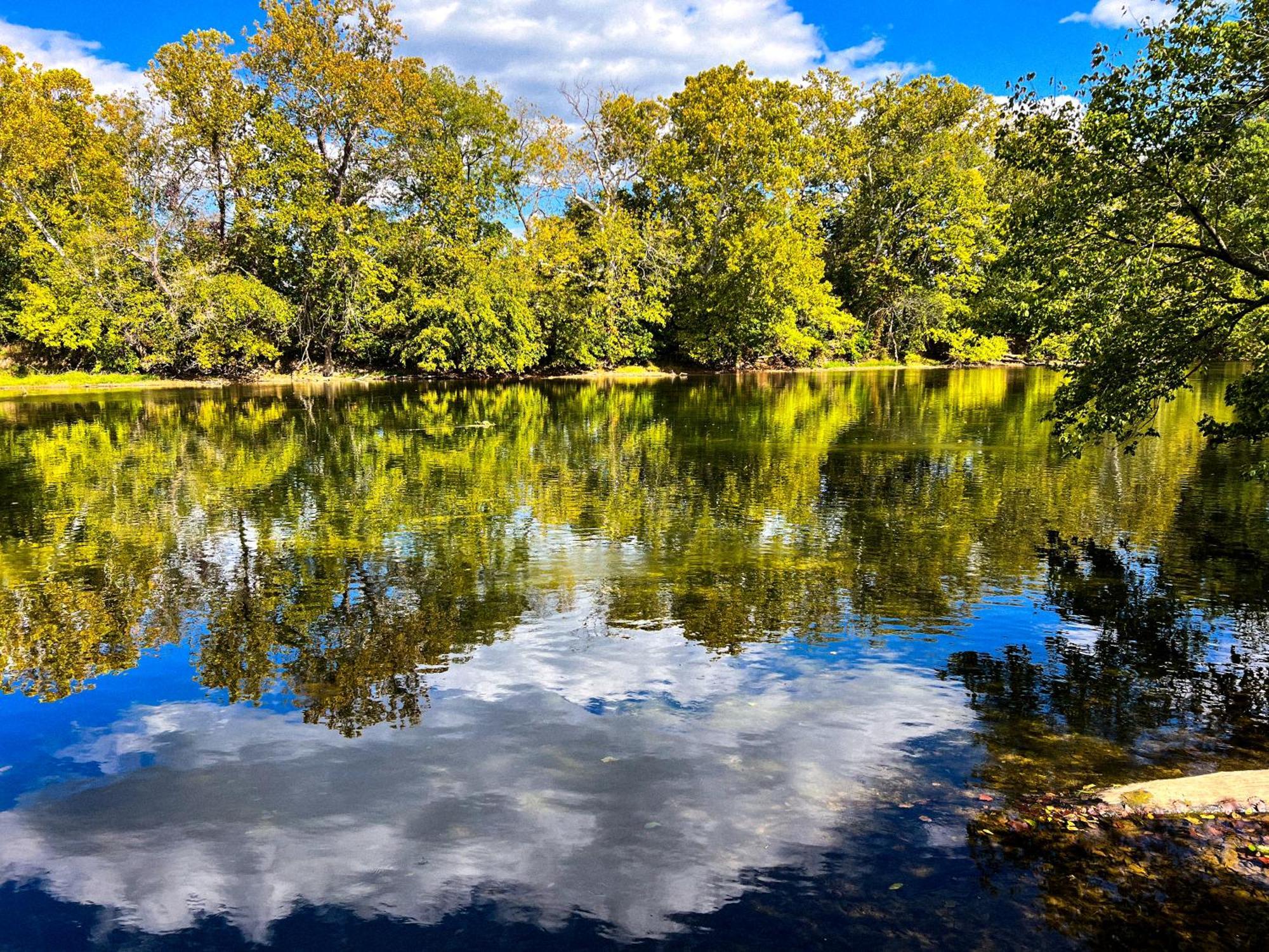 Luray Rv Resort On Shenandoah River エクステリア 写真