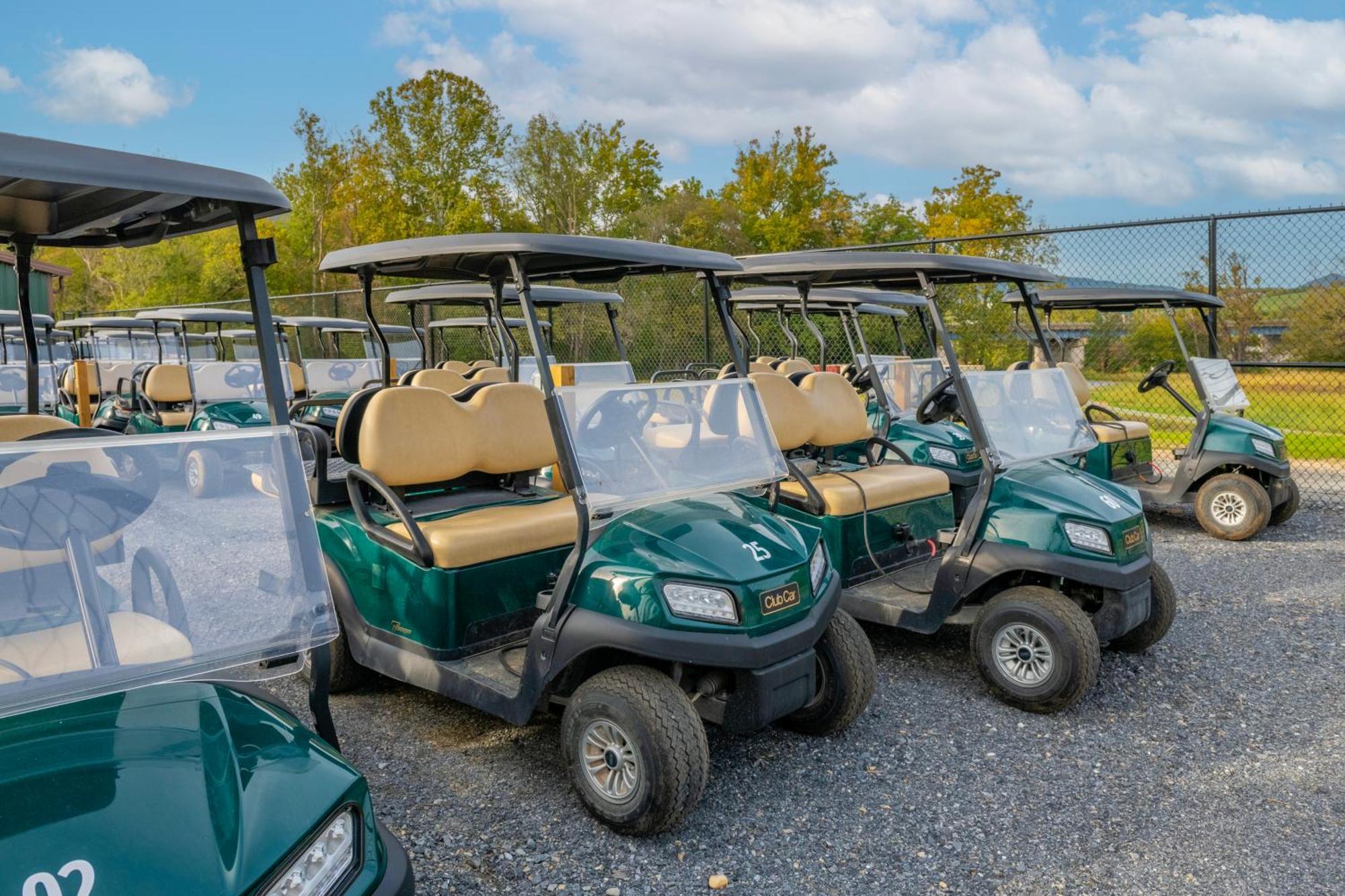 Luray Rv Resort On Shenandoah River エクステリア 写真